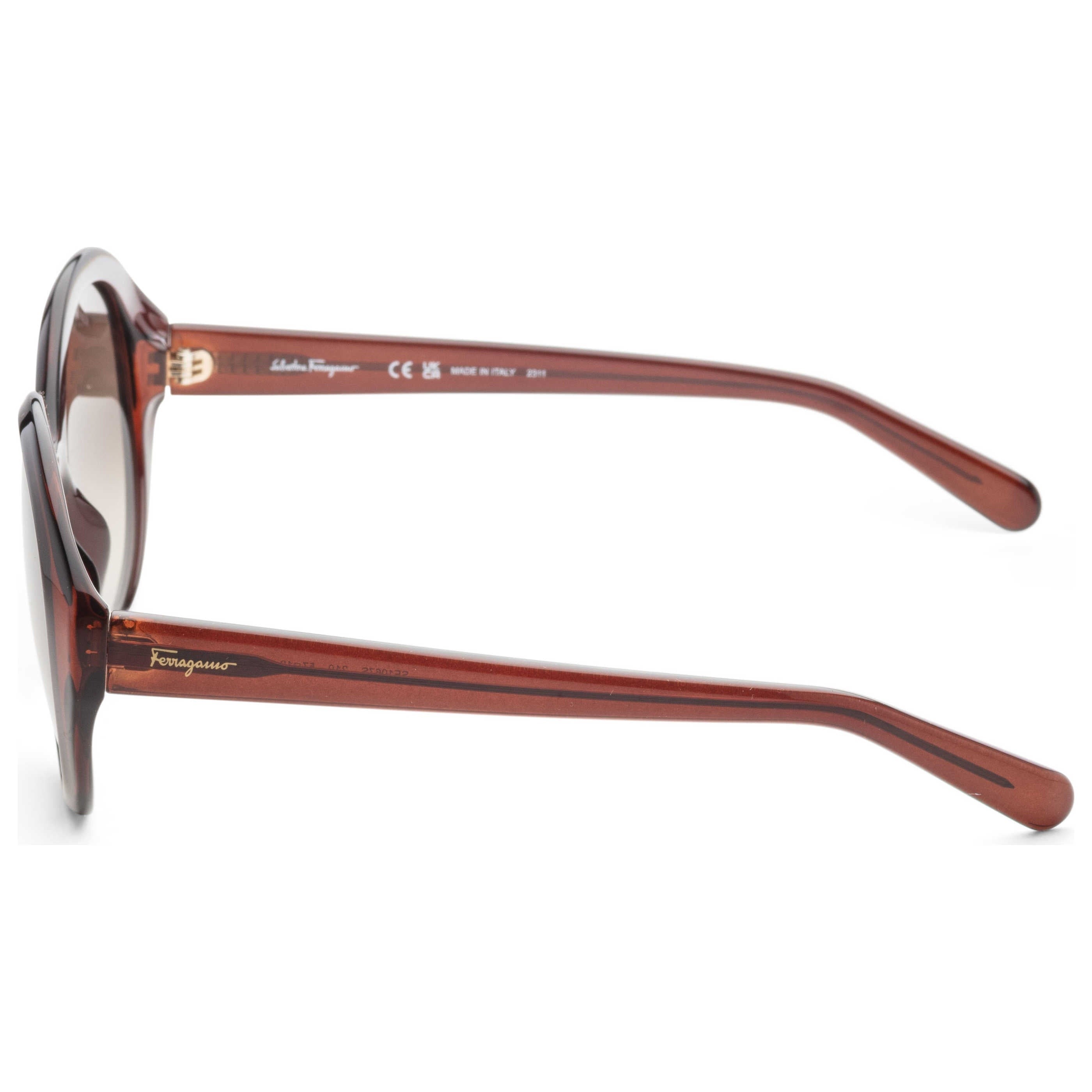 Ferragamo Fashion Women's Sunglasses SF1067S-210