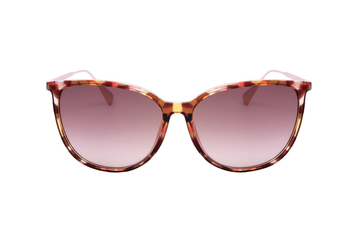Max&Co. Women's Injected Sunglasses