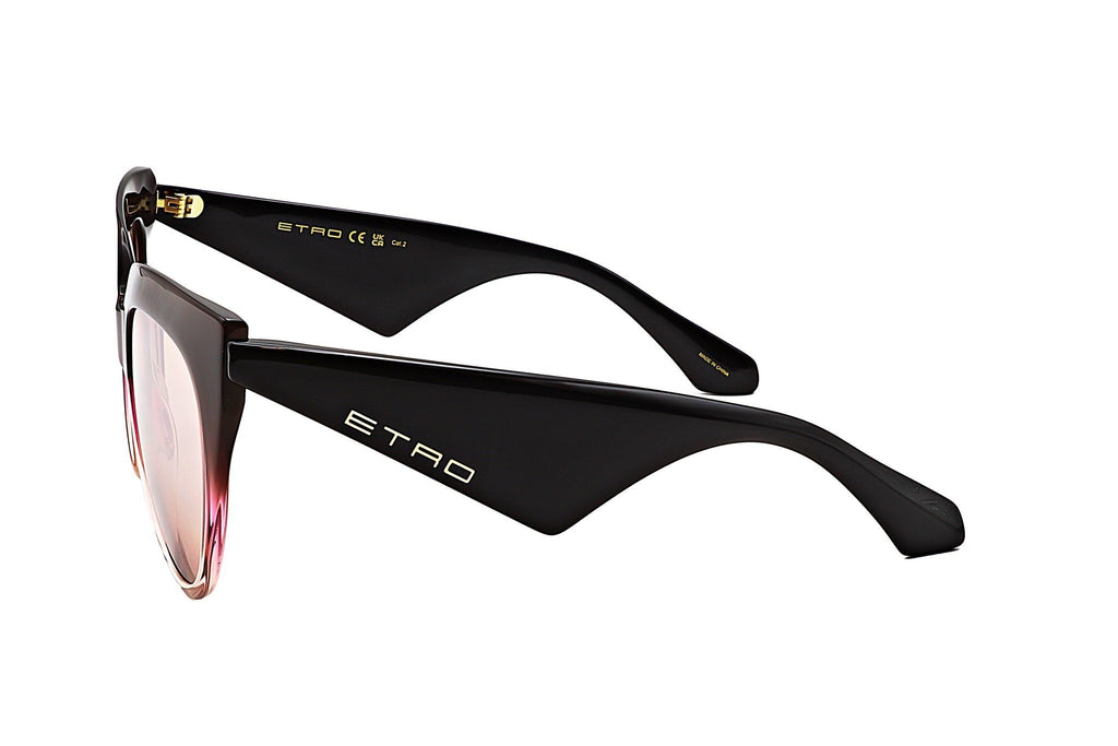 Etro Women's Acetate Sunglasses