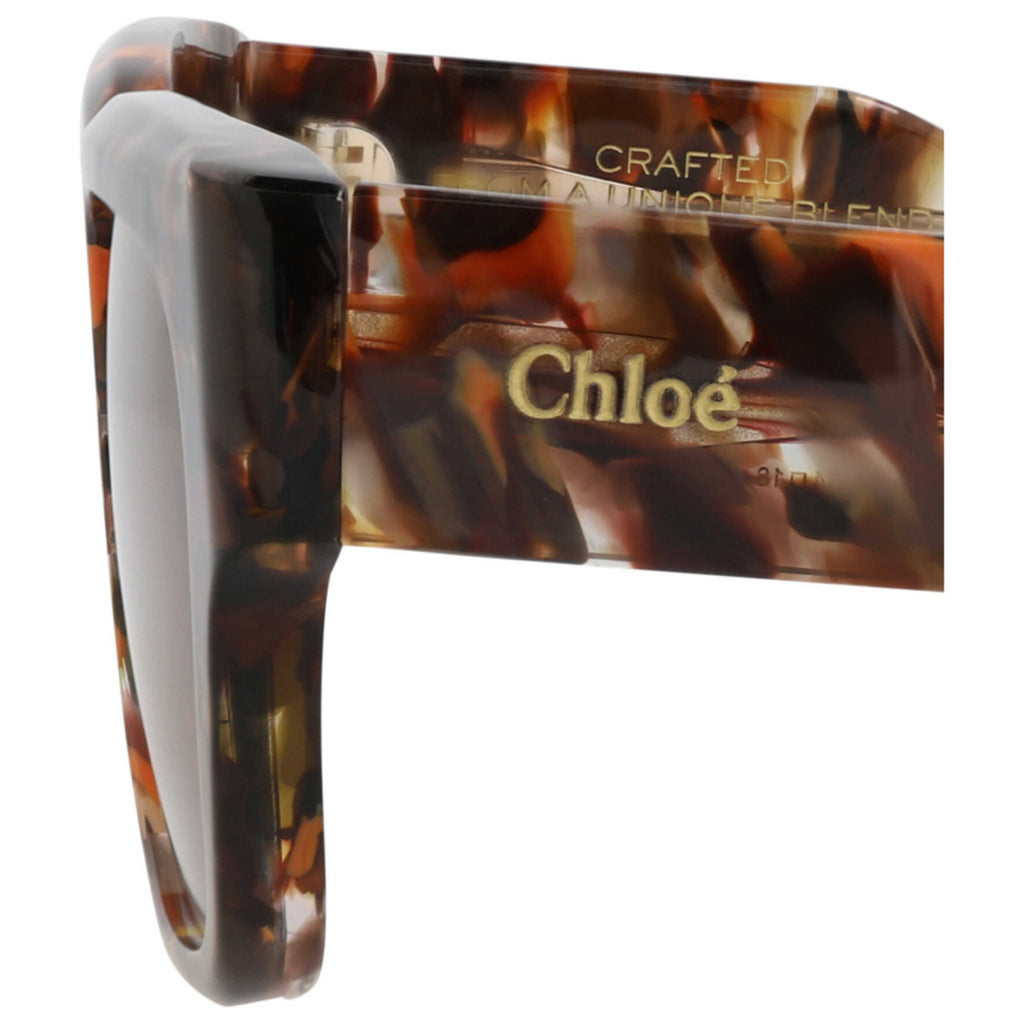 Chloe Women's Sunglasses CH0190S-30014666-006