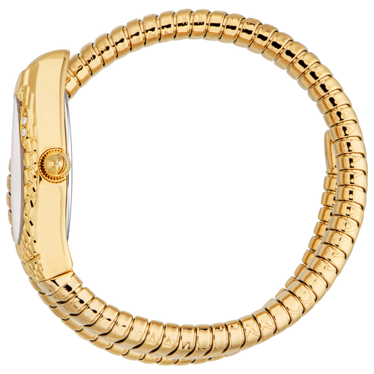 Just Cavalli Vetra Women's Watch JC1L373M1025