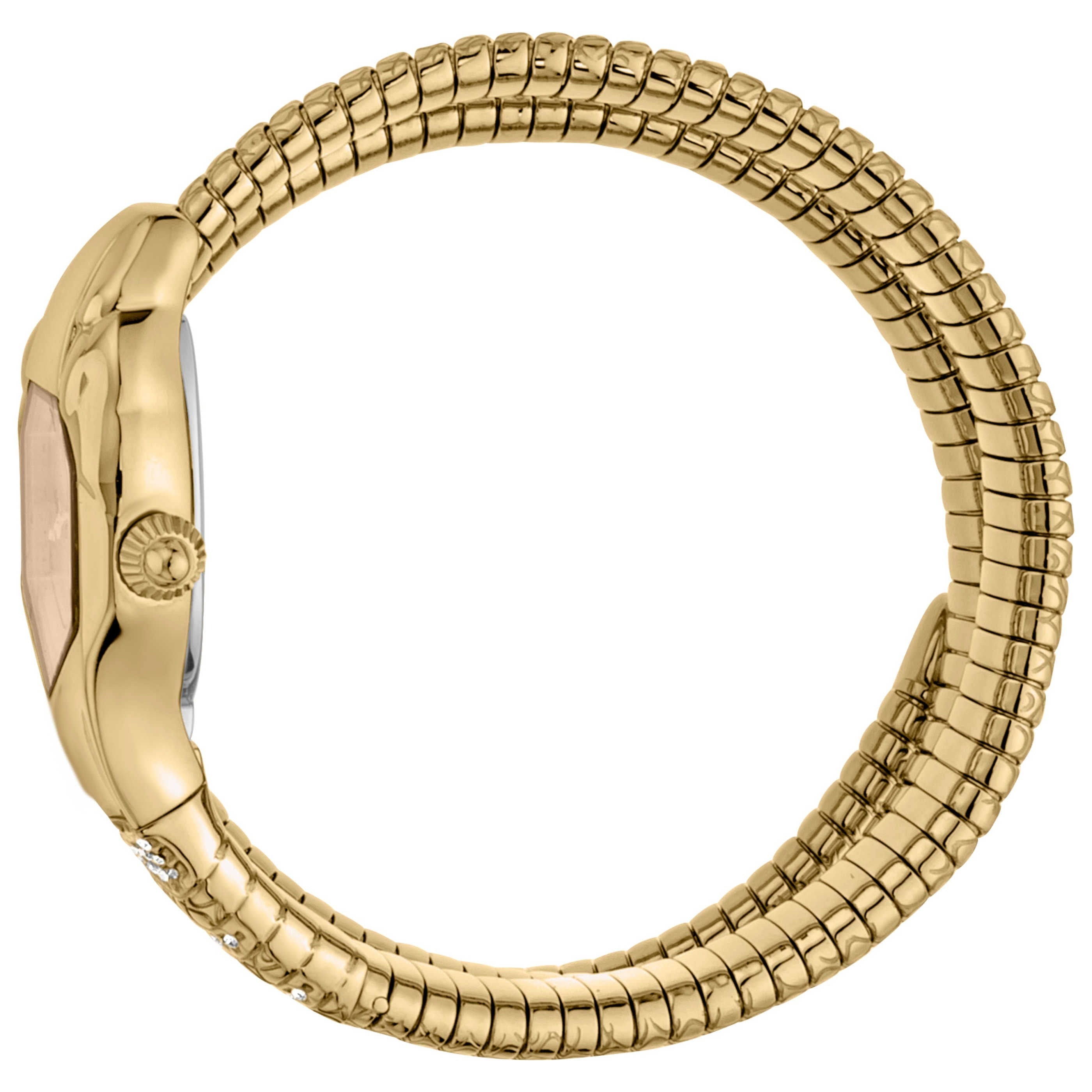 Just Cavalli Women's Watch JC1L112M0025