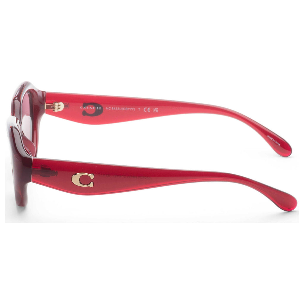 Coach Women's Sunglasses HC8433U-5526D0-52