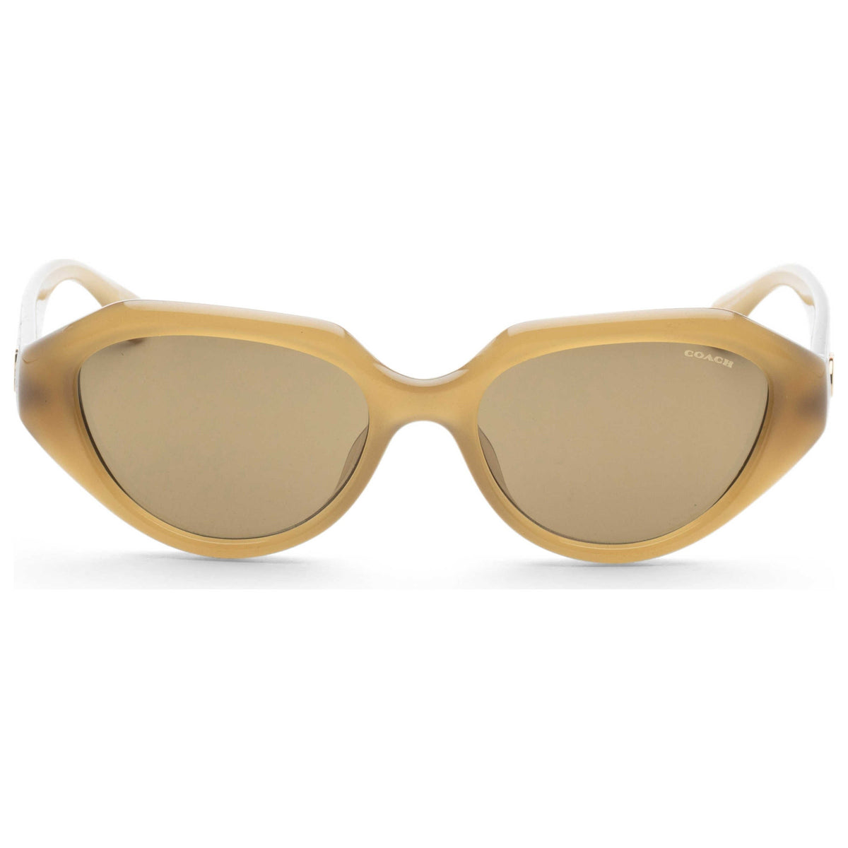 Coach Women's Sunglasses HC8433U-590230-52