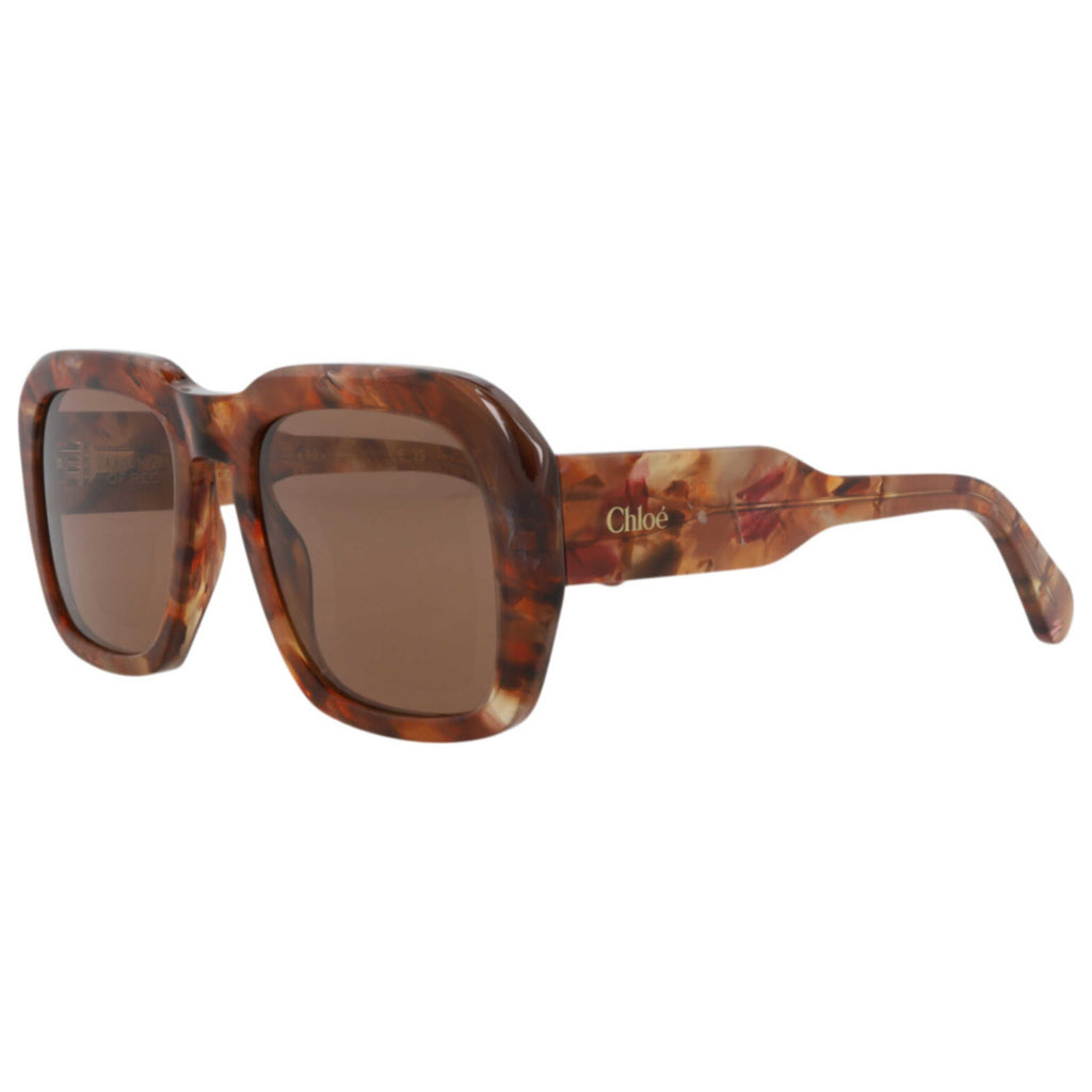 Chloe Women's Sunglasses CH0310S-30016294-005