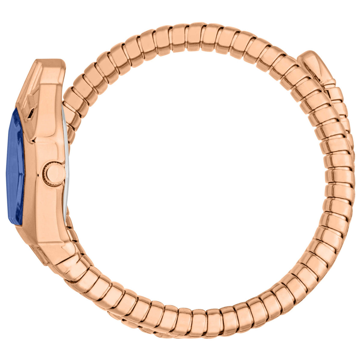 Just Cavalli Women's Watch JC1L358M0055