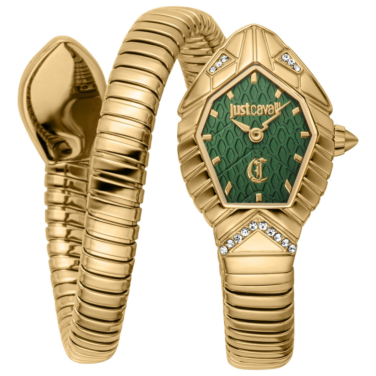 Just Cavalli Women's Watch JC1L356M0035