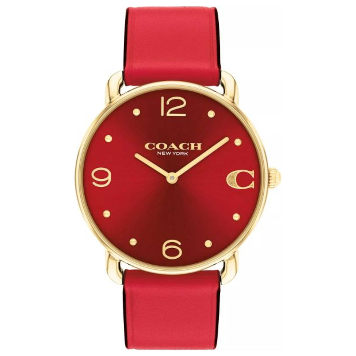 Coach Elliot Women's Watch 14504249
