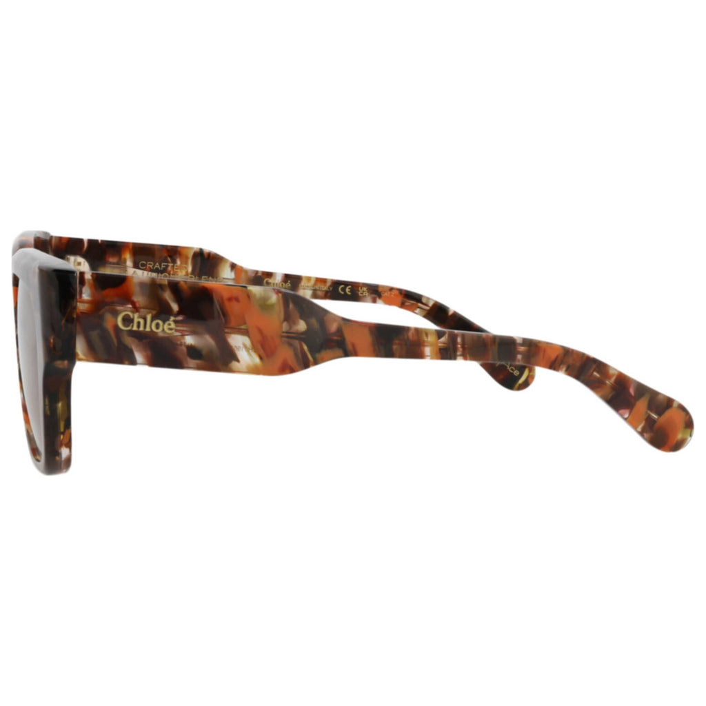 Chloe Women's Sunglasses CH0190S-30014666-006