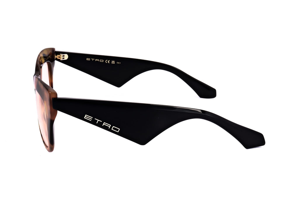Etro Women's Acetate Sunglasses