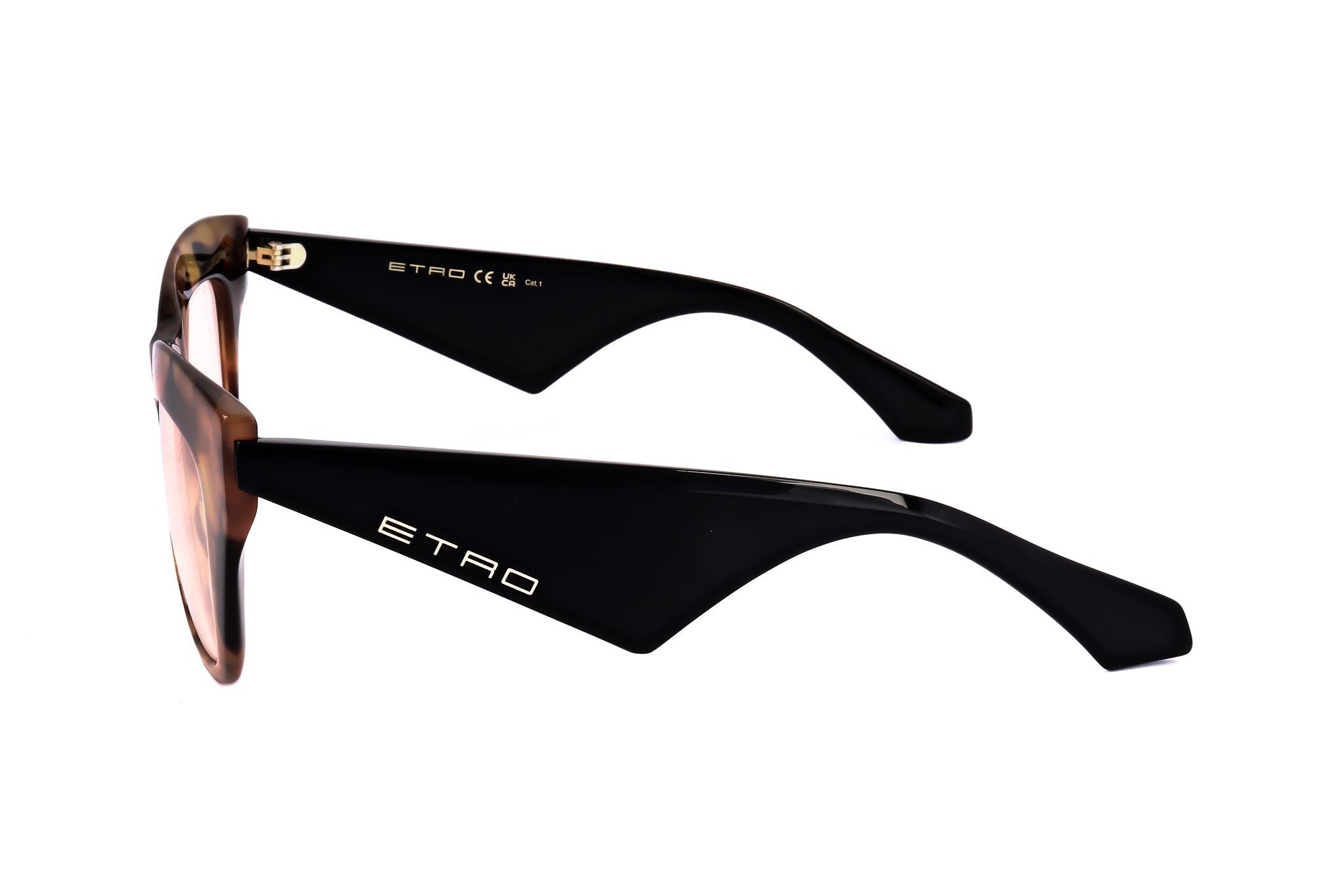 Etro Women's Acetate Sunglasses