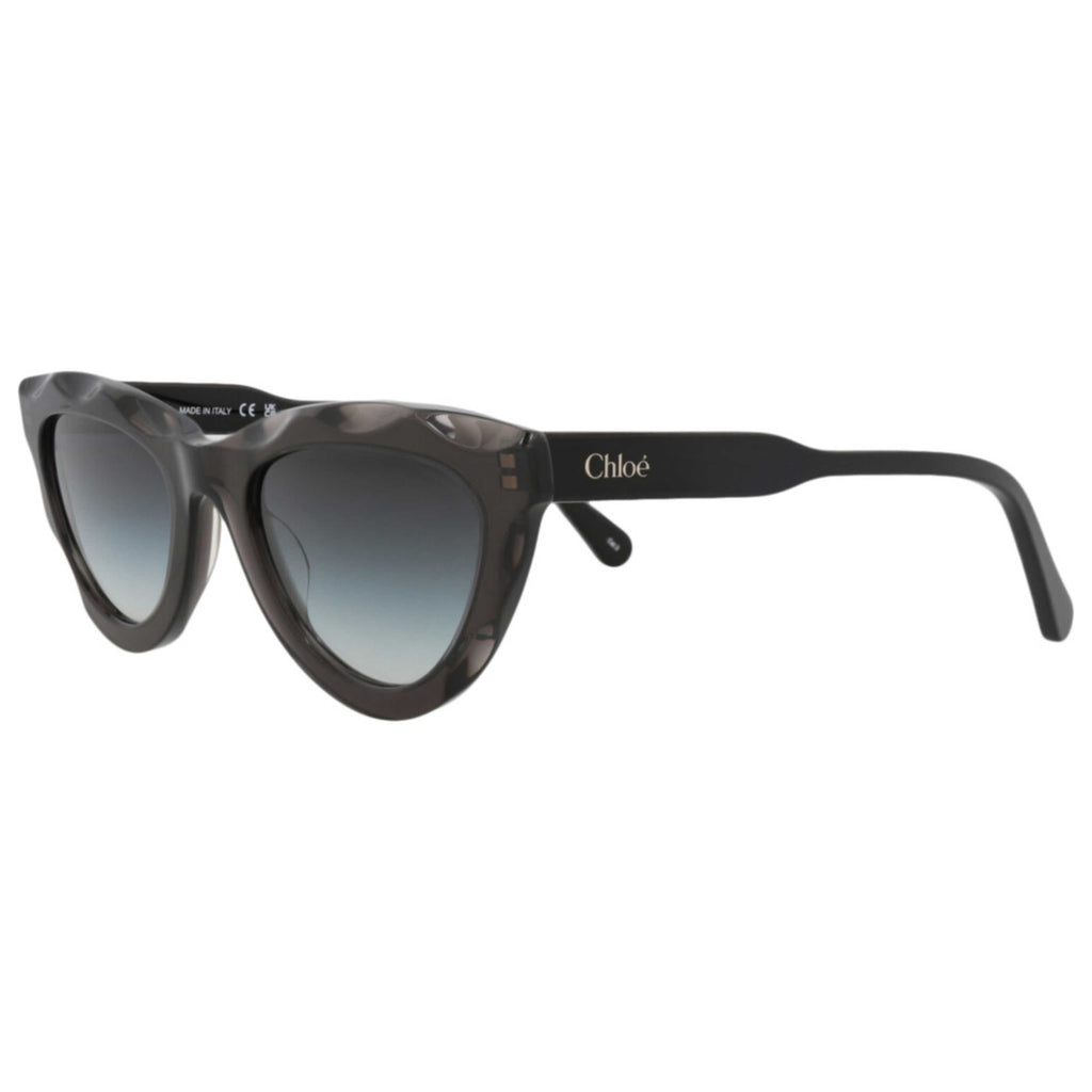 Chloe Women's Sunglasses CH0294S-30016334-001