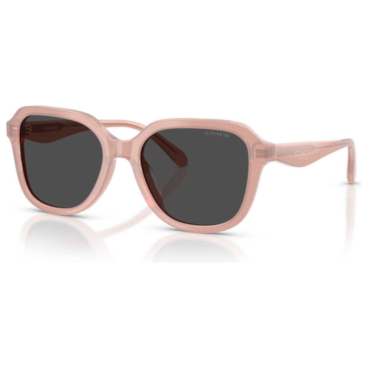 Coach Women's Sunglasses HC8437F-591487-56