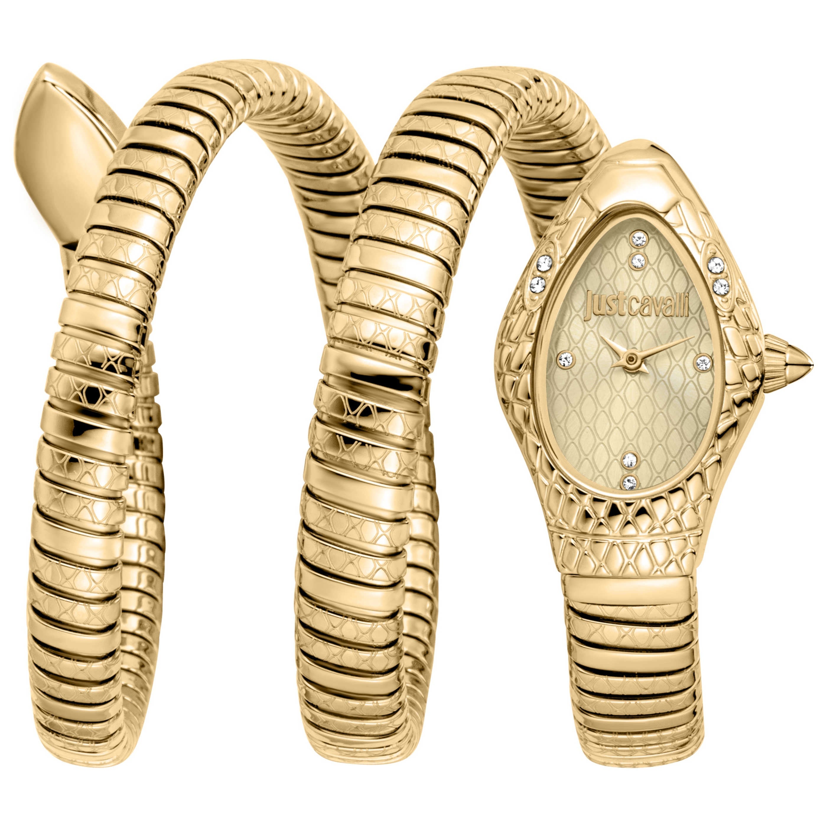 Just Cavalli Women's Watch JC1L374M0025