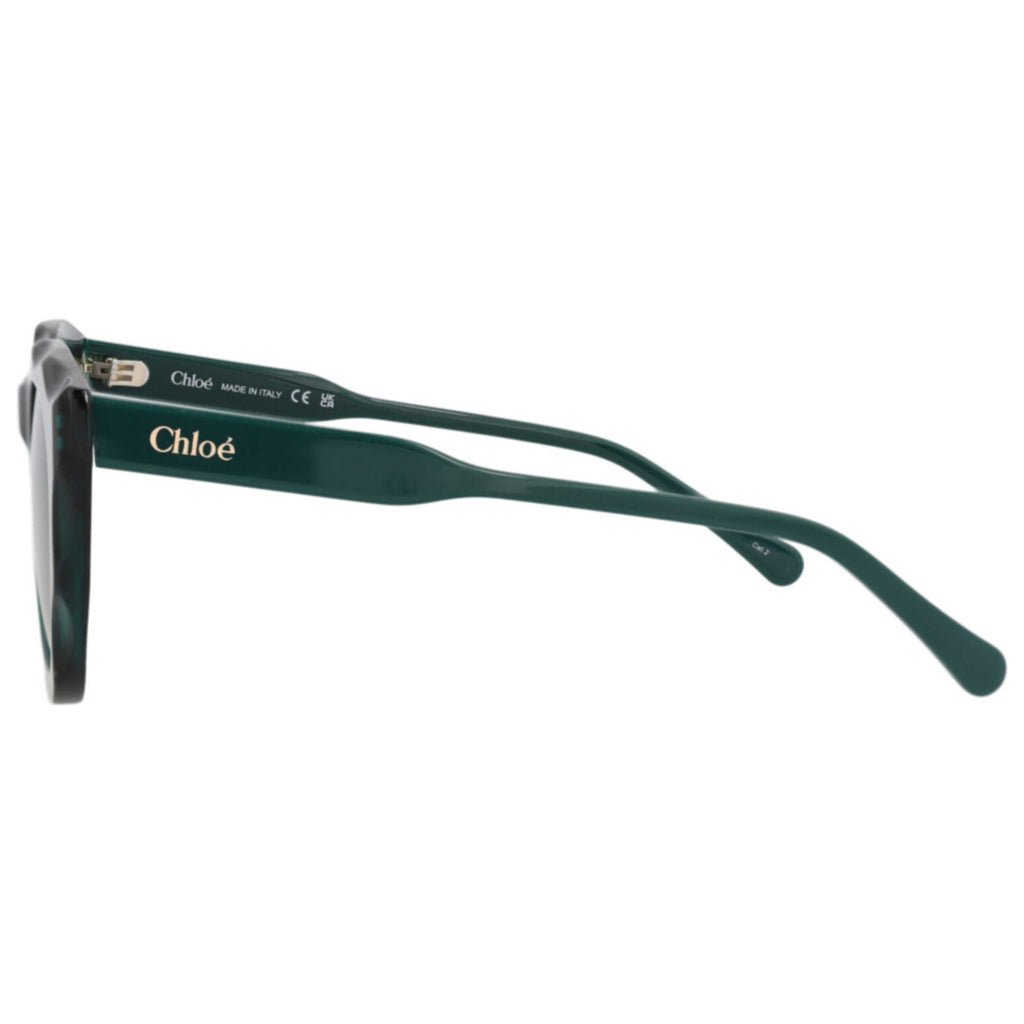 Chloe Women's Sunglasses CH0295S-30016337-005